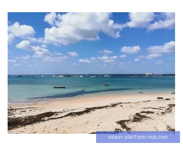 世界杯赛事胜负赔率实时查询与投注技巧全面指南